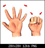 Klicken Sie auf die Grafik f�r eine gr��ere Ansicht

Name:	finger_stretch.jpg
Hits:	1383
Gr��e:	12,5 KB
ID:	22